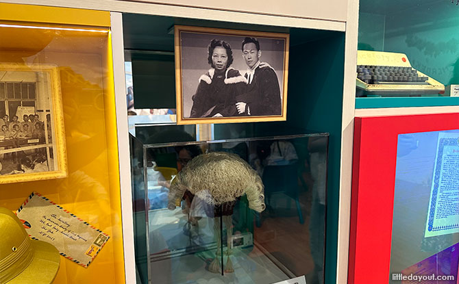 Mrs Lee Kuan Yew's barrister wig