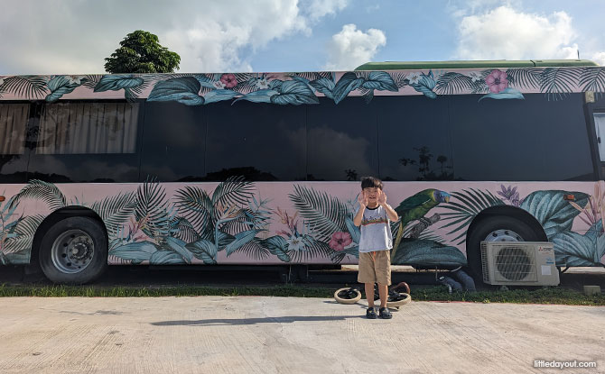 Room to Roam and Play