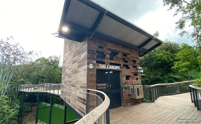 The Canopy