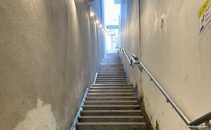 "100 steps"