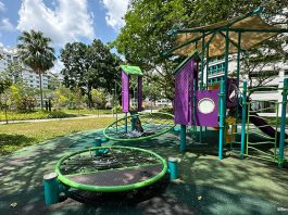 The Green Oval: Pasir Ris Neighbourhood Park & Playgrounds