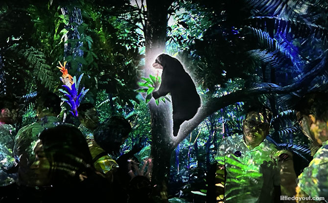 Lower level of The Hidden Forest at Cloud Forest, Gardens by the Bay