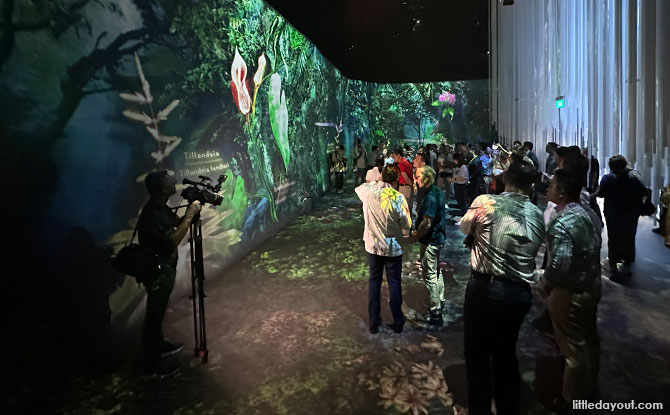 Seed of The Idea for The Hidden Forest at Cloud Forest, Gardens by the Bay