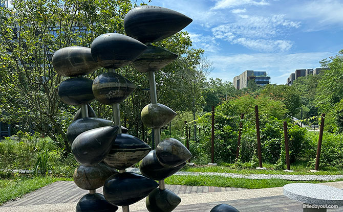 Another Way to Perceive the Rain of the Forest