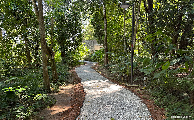 Summit Forest: A Forest With Ghibli Vibes 