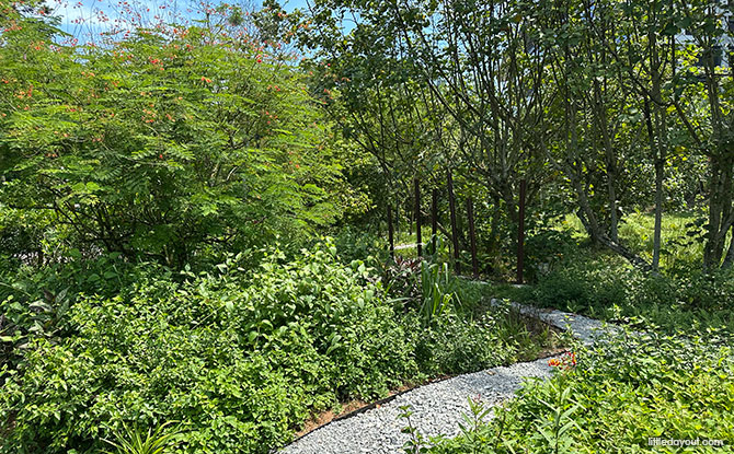 Nature at The Potter's Garden: Butterfly Garden & More