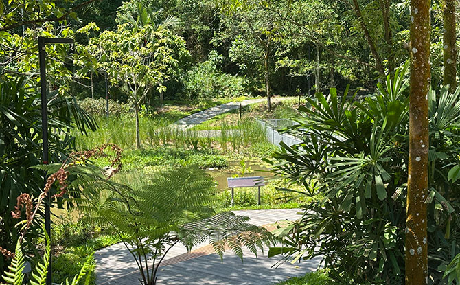 The Potter's Garden: Jurong Innovation District's Green Park