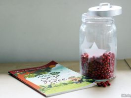 The Saga Tree – A Heartwarming Tale of Nature And Intergenerational Love