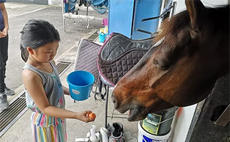 Horse Riding In Singapore: Where To Interact With Horses 9 Therapeutic and Educational Riding in Singapore
