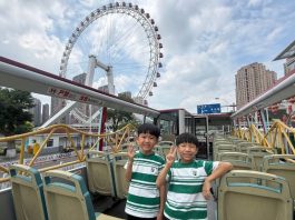 Hop On and Off an Open-Top Bus