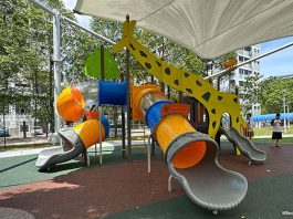Time Park At Pasir Ris: Sheltered Giraffe Playground