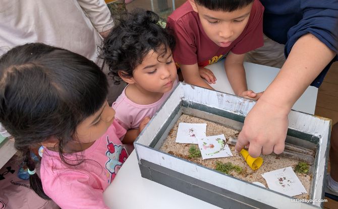 Tiny Kingdom: Learn About The World Of Insects, Critters & Nature 6 We visited on the 1st Saturday of the month, where the theme is “Beneath the Surface”.