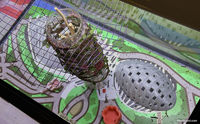 The Fascinating World of Ants 