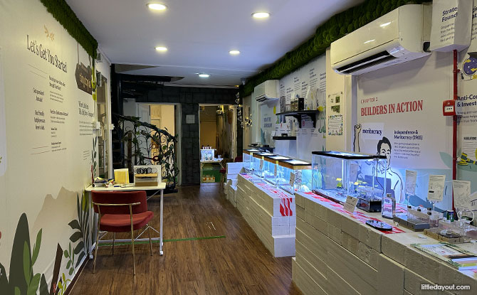 TinyTopia: Colony to Nation Ant Exhibition