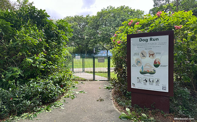 rules for the dog run at tiong bahru park