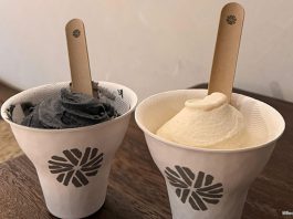 Tofu G: How Good Can Tofu Gelato Ice Creams Be?