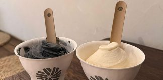 Tofu G: How Good Can Tofu Gelato Ice Creams Be?
