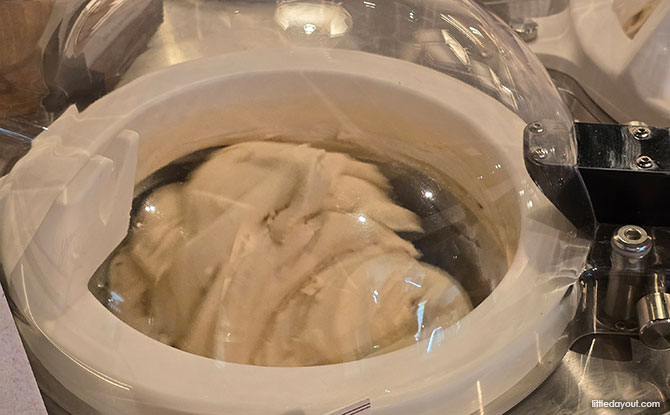 Tofu G: How Good Can Tofu Gelato Ice Creams Be? 3 The Original and the High Protein