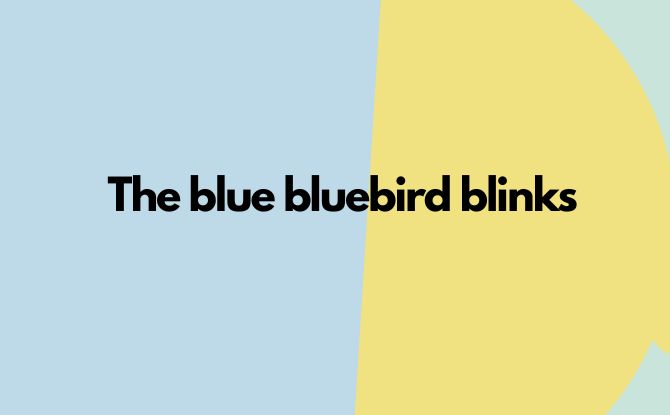 The blue bluebird blinks