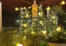 Things To Do This Weekend In Singapore: 13 to 14 December 2025 Things To Do This Weekend In Singapore: 13 to 14 December 2025