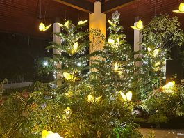 Things To Do This Weekend In Singapore: 13 to 14 December 2025