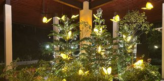 Things To Do This Weekend In Singapore: 13 to 14 December 2025