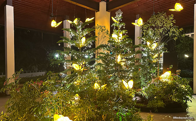 Trees Of The World: Illuminated Trees At Singapore Botanic Garden 2 Festive displays