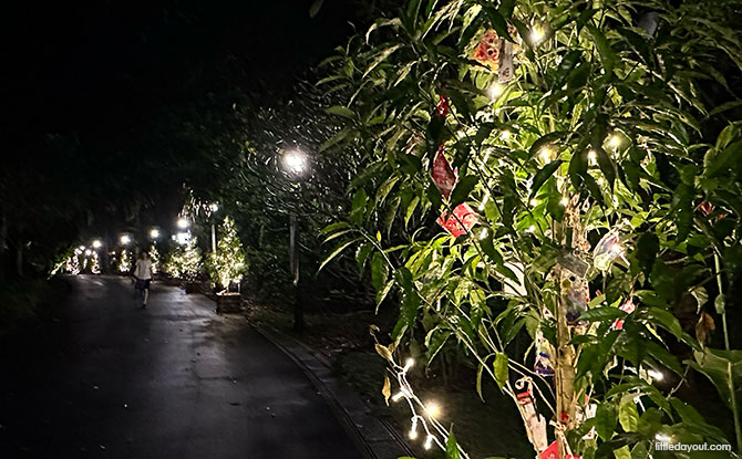 Trees Of The World: Illuminated Trees At Singapore Botanic Garden Trees Of The World: Illuminated Trees At Singapore Botanic Garden
