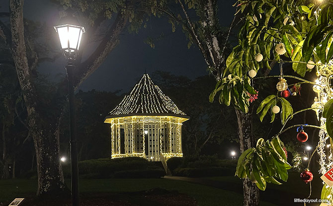 Trees Of The World: Illuminated Trees At Singapore Botanic Garden 4 A Quiet Stroll to View the Lights at Singapore Botanic Gardens