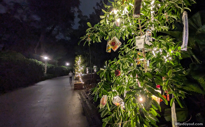 trees of the world SBG 2025