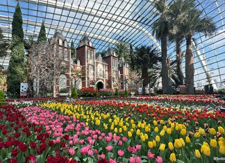Tulipmania 2026: Gardens By The Bay Blooms With Tulips & Dutch Masters Tulipmania 2026: Gardens By The Bay Blooms With Tulips & Dutch Masters