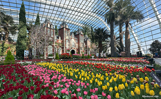 Tulipmania 2026: Gardens By The Bay Blooms With Tulips & Dutch Masters