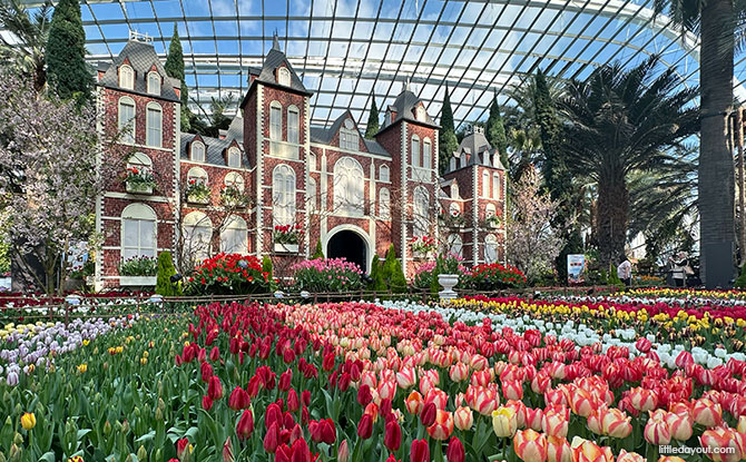 Tulipmania 2026: Gardens By The Bay Blooms With Tulips & Dutch Masters 13 Tulipmania 2026 Gardens by the Bay