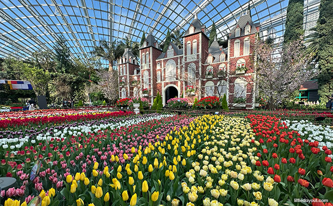 Tulipmania 2026: Gardens By The Bay Blooms With Tulips & Dutch Masters 2 Rijksmuseum