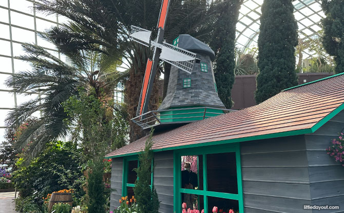 Tulipmania 2026: Gardens By The Bay Blooms With Tulips & Dutch Masters 7 De Kat Windmill