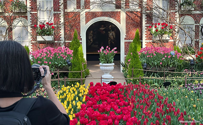 Tulipmania 2026: Gardens By The Bay Blooms With Tulips & Dutch Masters 12 Snap & Win for a Chance to Win Roundtrip Economy Tickets