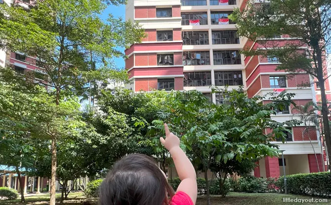 SG61 And Ready to Celebrate: Family-Friendly Things To Do This National Day 2026 Family-Friendly Things To Do This National Day 2026: SG61 And Ready To Celebrate