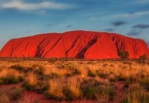 101+ Interesting Facts About Australia That'll Make You Want To Head Down Under