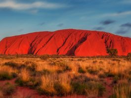 101+ Interesting Facts About Australia That'll Make You Want To Head Down Under