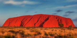 101+ Interesting Facts About Australia That'll Make You Want To Head Down Under