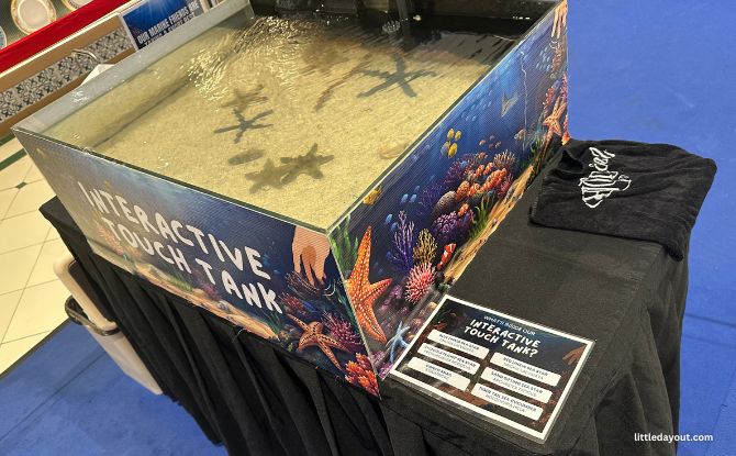 Underwater Sanctuary At Tanglin Mall: Luminous Experience Room, Touch Tank & More 2 Touch Tank