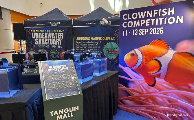 Underwater Sanctuary At Tanglin Mall: Luminous Experience Room, Touch Tank & More 3 Clownfish Competition