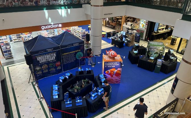 Underwater Sanctuary At Tanglin Mall: Luminous Experience Room, Touch Tank & More 4 Underwater Sanctuary