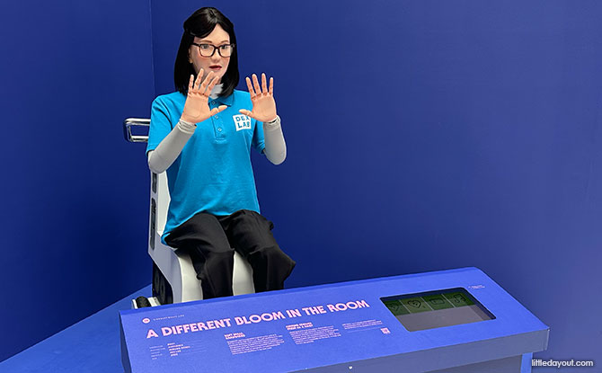 Daisy, a humanoid wellness robot