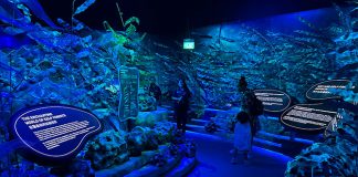 VibranSEA At S.E.A. Aquarium: Learn About Aquatic Eco-Systems Through Science, Educational Displays & Art