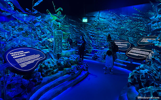 VibranSEA At S.E.A. Aquarium: Learn About Aquatic Eco-Systems Through Science, Educational Displays & Art