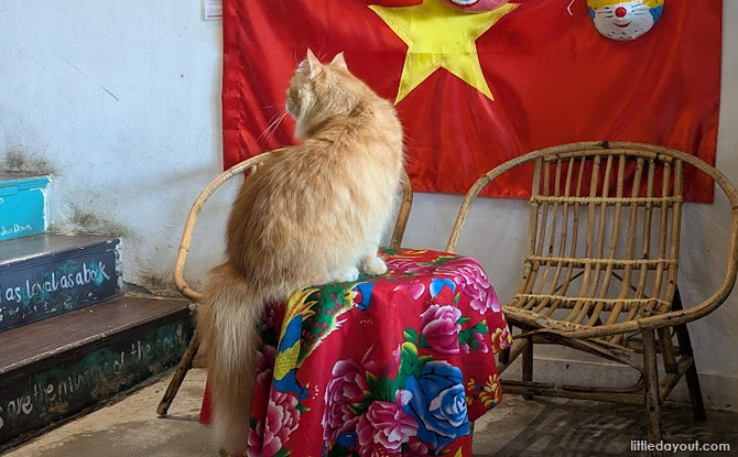 10-Day Hanoi, Sapa And Ninh Binh Tween & Teen friendly Itinerary 23 vietnam north 02