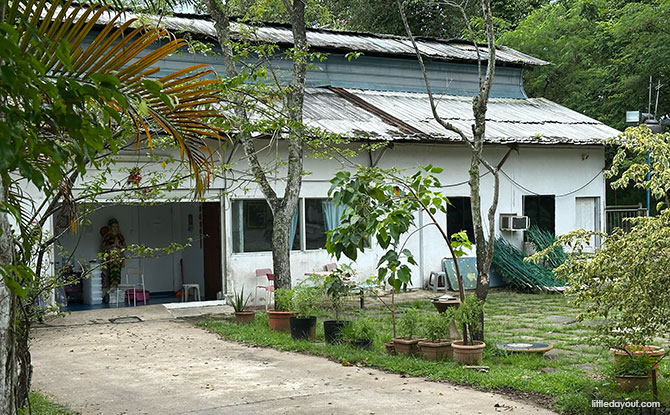 About Viknesh Dairy Farm