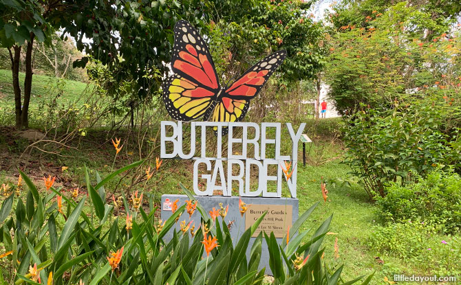 Butterfly Garden at Garden Hill Park