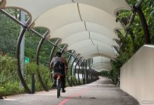 Walking & Cycling Path Between Mandai Wildlife EAST & WEST Walking & Cycling Path Between Mandai Wildlife EAST & WEST